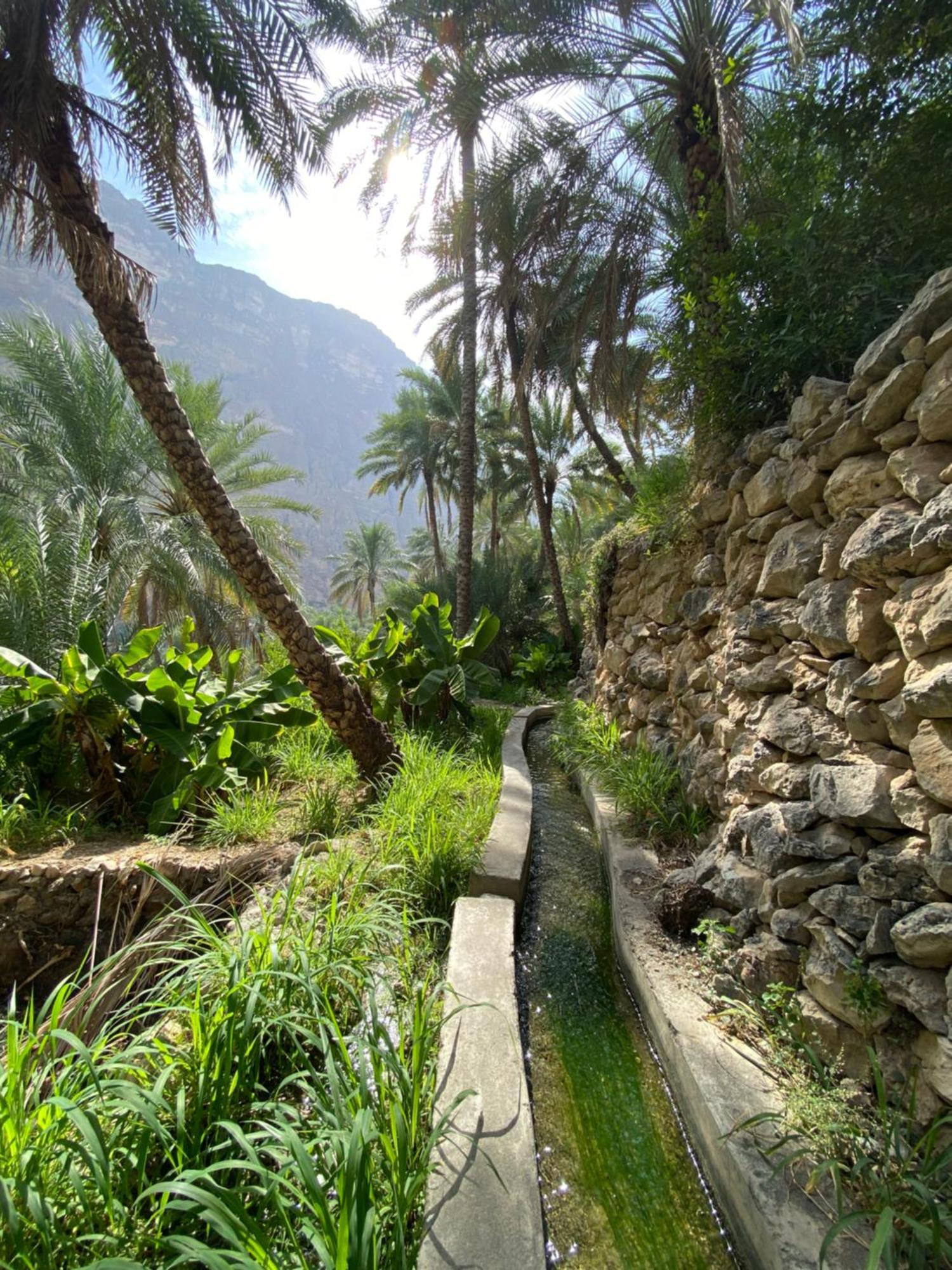 Wadi Shab Guest House Tiwi 외부 사진