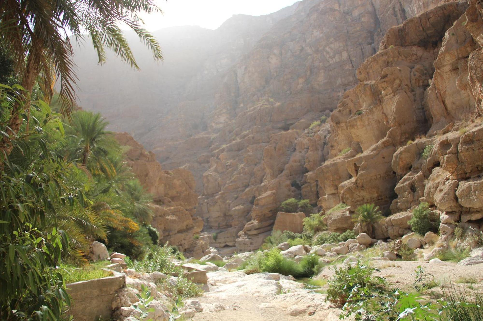 Wadi Shab Guest House Tiwi 외부 사진